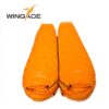 Fill 600G 1000G WINGACE ultralight duck down camping outdoor tourists waterproof mummy fall Travel sleep adult sleeping bags